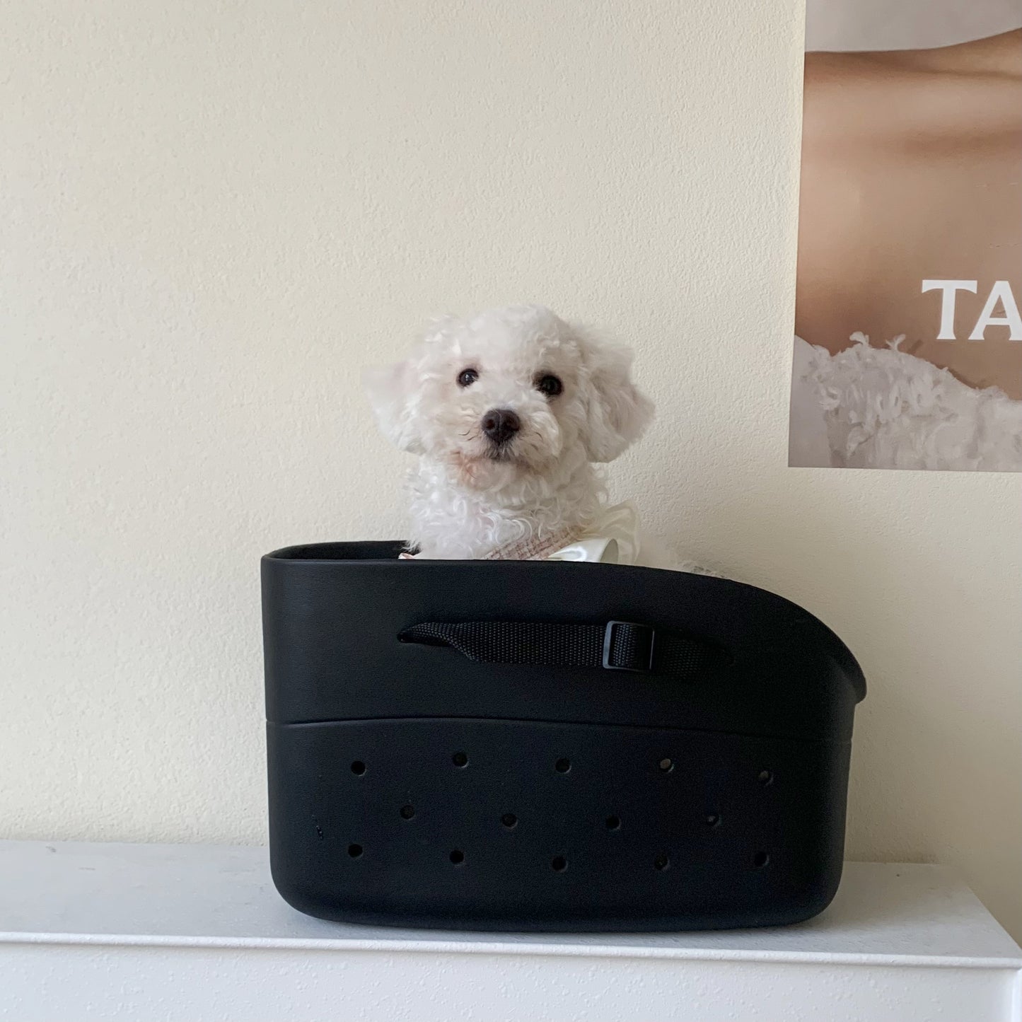 Women's Pet Convenient Material Hole Storage Handbags