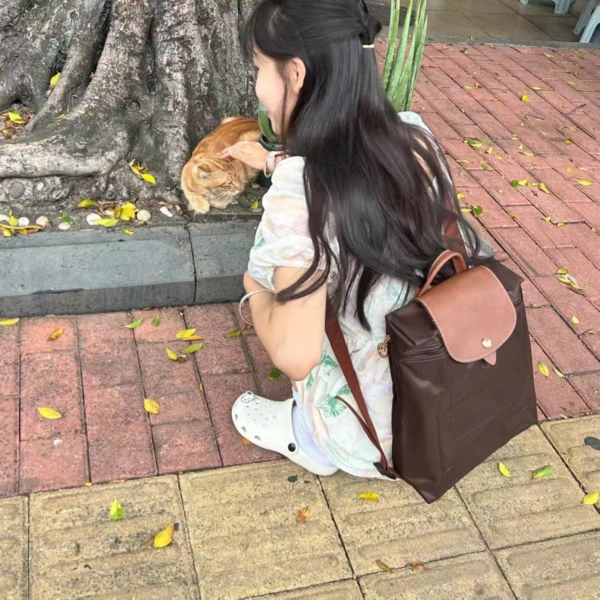 Women's French Dragon Simple Fashion Commuter Folding Women's Backpack