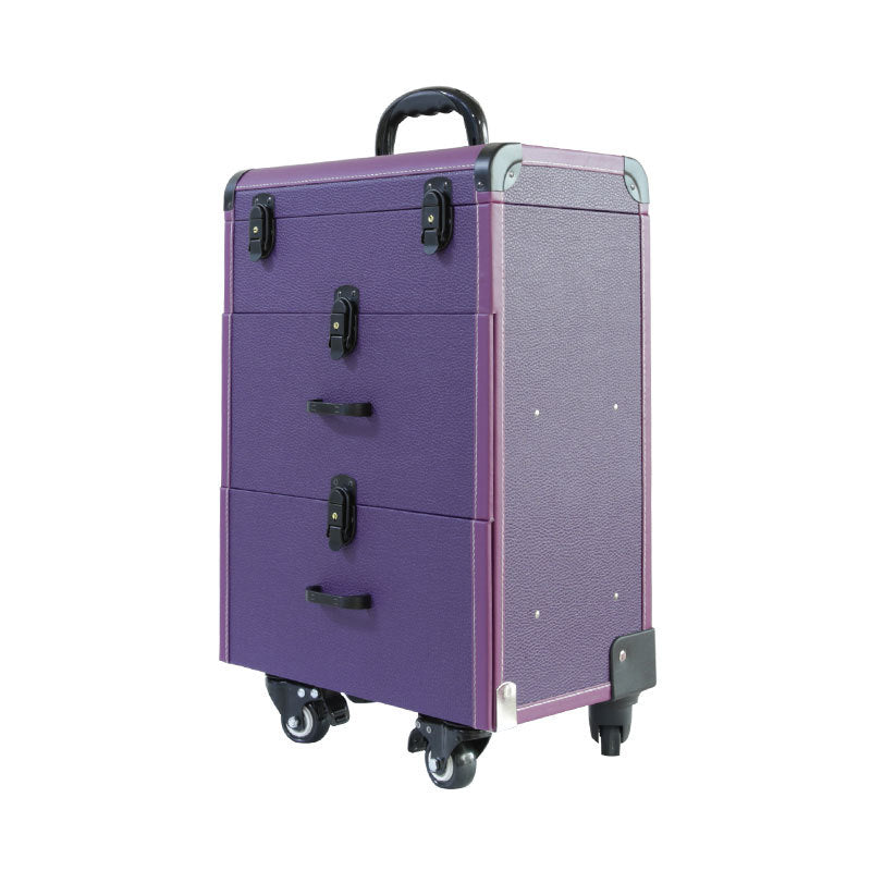 Second Generation Makeup Nail Tattoo Beauty Cosmetic Case