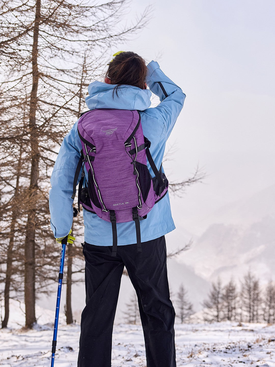 Women's & Men's Eagle Beetle Hiking Camping Climbing Water-repellent Sports Backpack