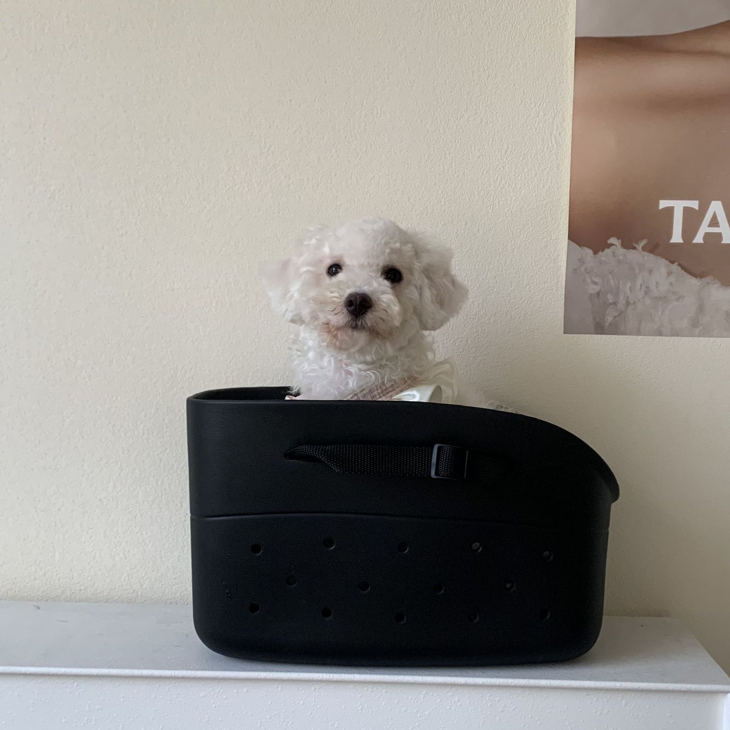 Women's Pet Convenient Material Hole Storage Handbags