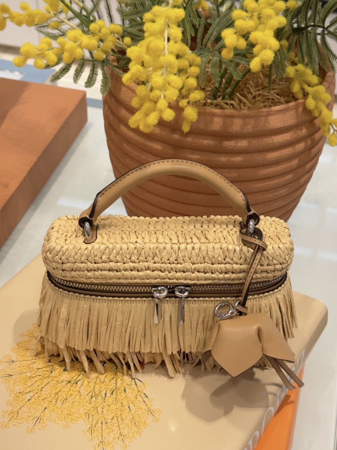 Straw Tassel Vacation Design Portable One Women's Handbag